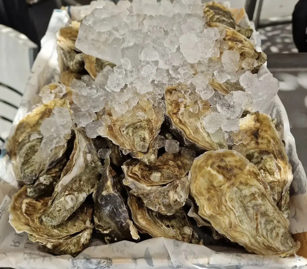 Ostras frescas en Bocados Castelldefels